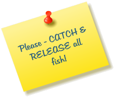 Please - CATCH & RELEASE all fish!